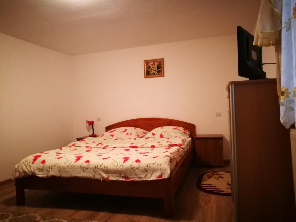 Pensiunea Poiana Borsa  Bagian luar foto