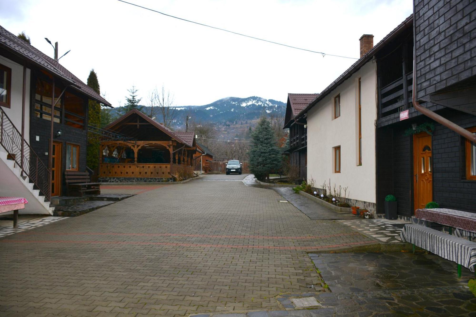 Pensiunea Poiana Borsa  Bagian luar foto