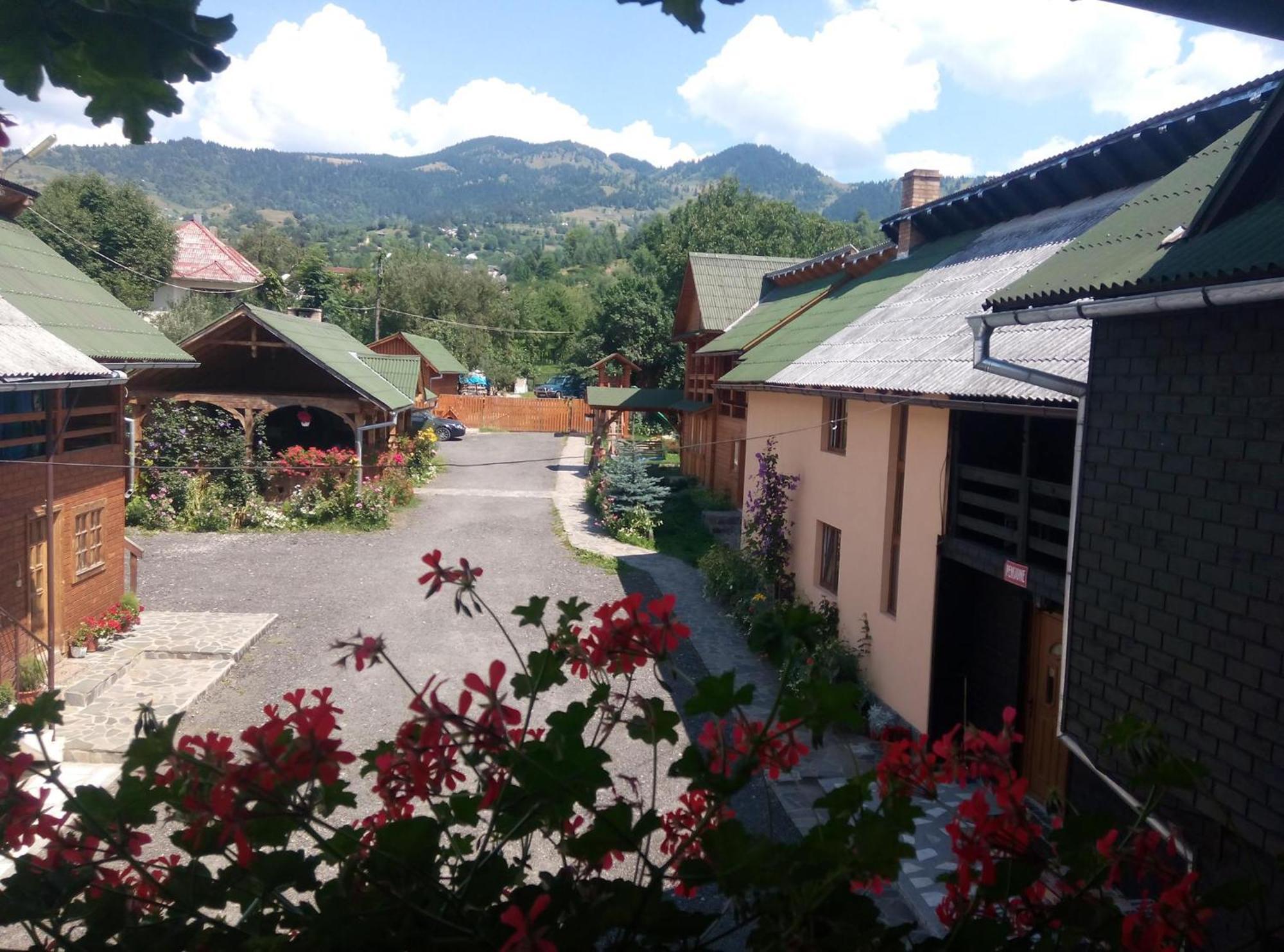 Pensiunea Poiana Borsa  Bagian luar foto
