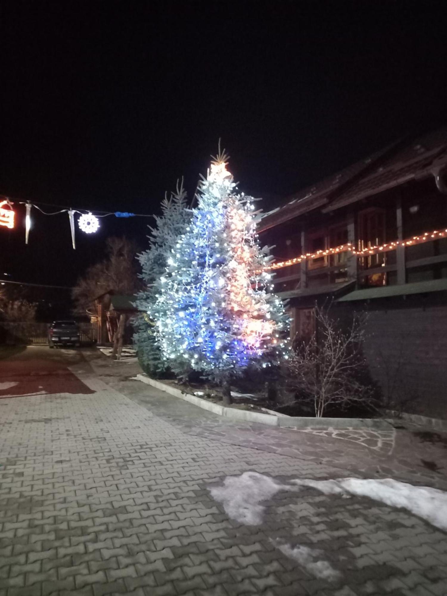 Pensiunea Poiana Borsa  Bagian luar foto
